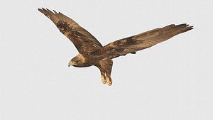 Low Poly Eagle Rigged With Realistic Texture 3D model