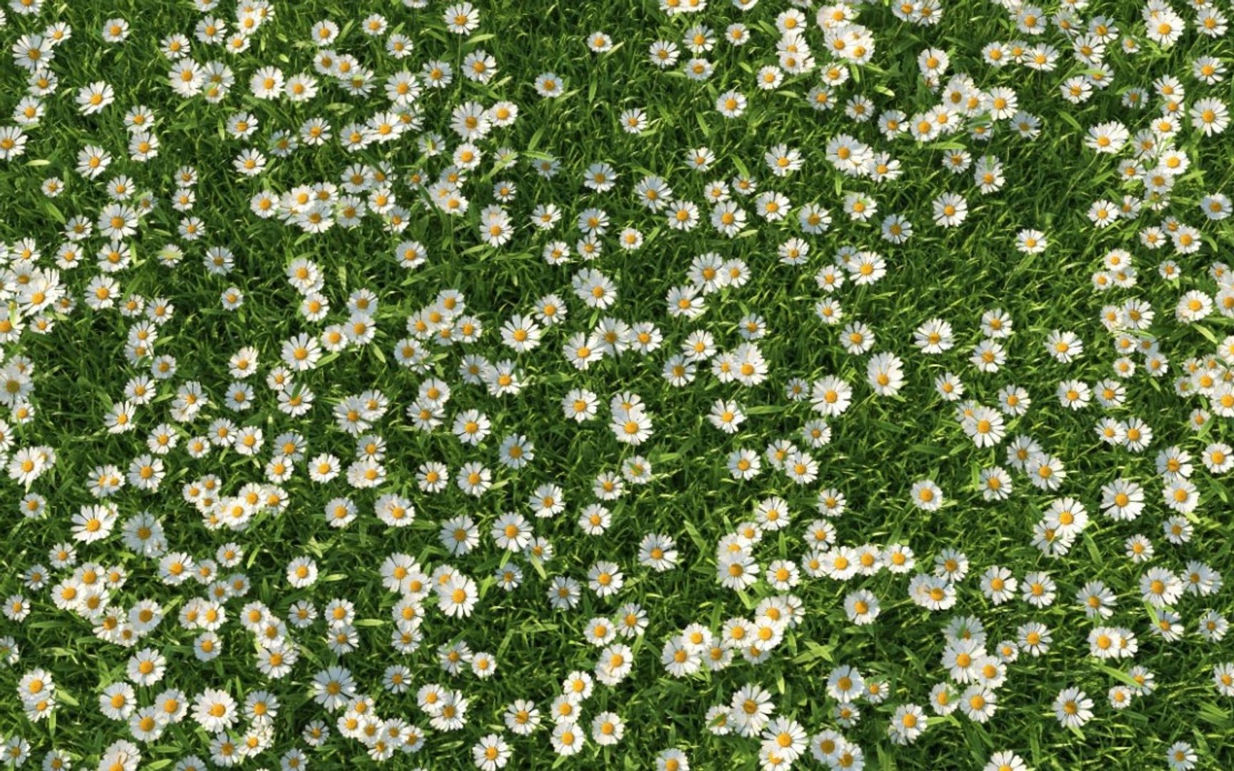 3D XfrogPlants HQGrass 1 model https://p.turbosquid.com/ts-thumb/mA/WLZO4b/6a/4/jpg/1619468375/1920x1080/fit_q87/93bee787f311a027de81a9946acd92f82a9c74ef/4.jpg