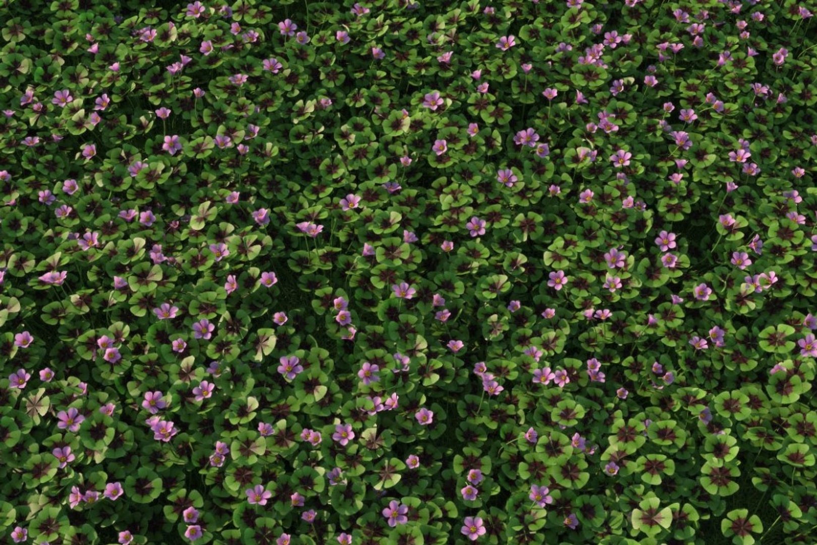 3D XfrogPlants HQGrass 1 model https://p.turbosquid.com/ts-thumb/mA/WLZO4b/IR/6/jpg/1619468375/1920x1080/fit_q87/a8291b4d10381d750be46e109de3de51d42835f0/6.jpg
