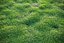 XfrogPlants HQGrass 1