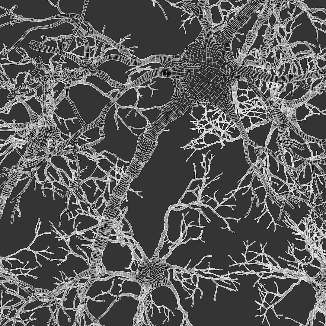 neuron synapses receptors 3D model https://p.turbosquid.com/ts-thumb/mA/YYY5Ya/CJZzybfi/neural_netork_outline_0008/jpg/1501618573/1920x1080/fit_q87/e68c49f5b96e75022087e6861297a60da53b95cd/neural_netork_outline_0008.jpg