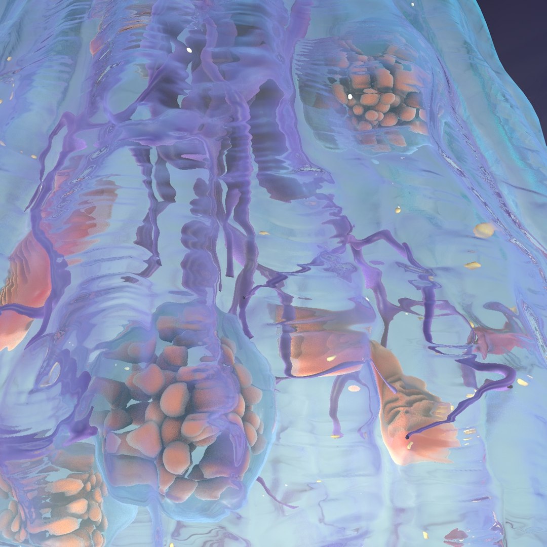 neuron synapses receptors 3D model https://p.turbosquid.com/ts-thumb/mA/YYY5Ya/NPYKPy7J/synapse_black_0017/jpg/1501617584/1920x1080/fit_q87/8047d18f81d04124948e8f83a4f06d10421c81b2/synapse_black_0017.jpg