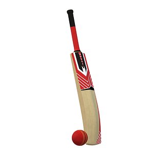 3D Cricket Bat and Ball