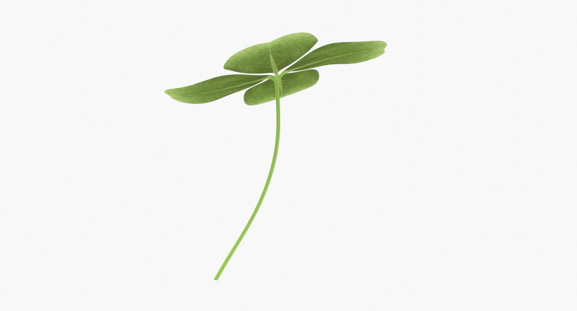 3D lucky clover shamrock https://p.turbosquid.com/ts-thumb/mA/fYPSLO/MDH5SVTe/untitled3/png/1502420676/1920x1080/fit_q87/326428651943bc5d82aece234566f8e28ff9c768/untitled3.jpg
