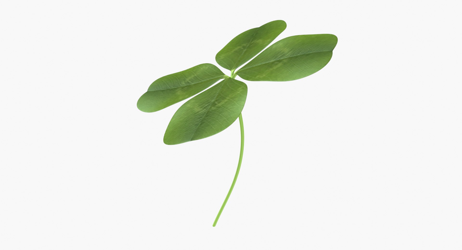 3D lucky clover shamrock https://p.turbosquid.com/ts-thumb/mA/fYPSLO/P4HdCQvL/untitled/png/1502420658/1920x1080/fit_q87/4c625015e7e15089a1d9f66f84077b287ad24032/untitled.jpg