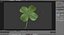 Lucky Clover / Shamrock