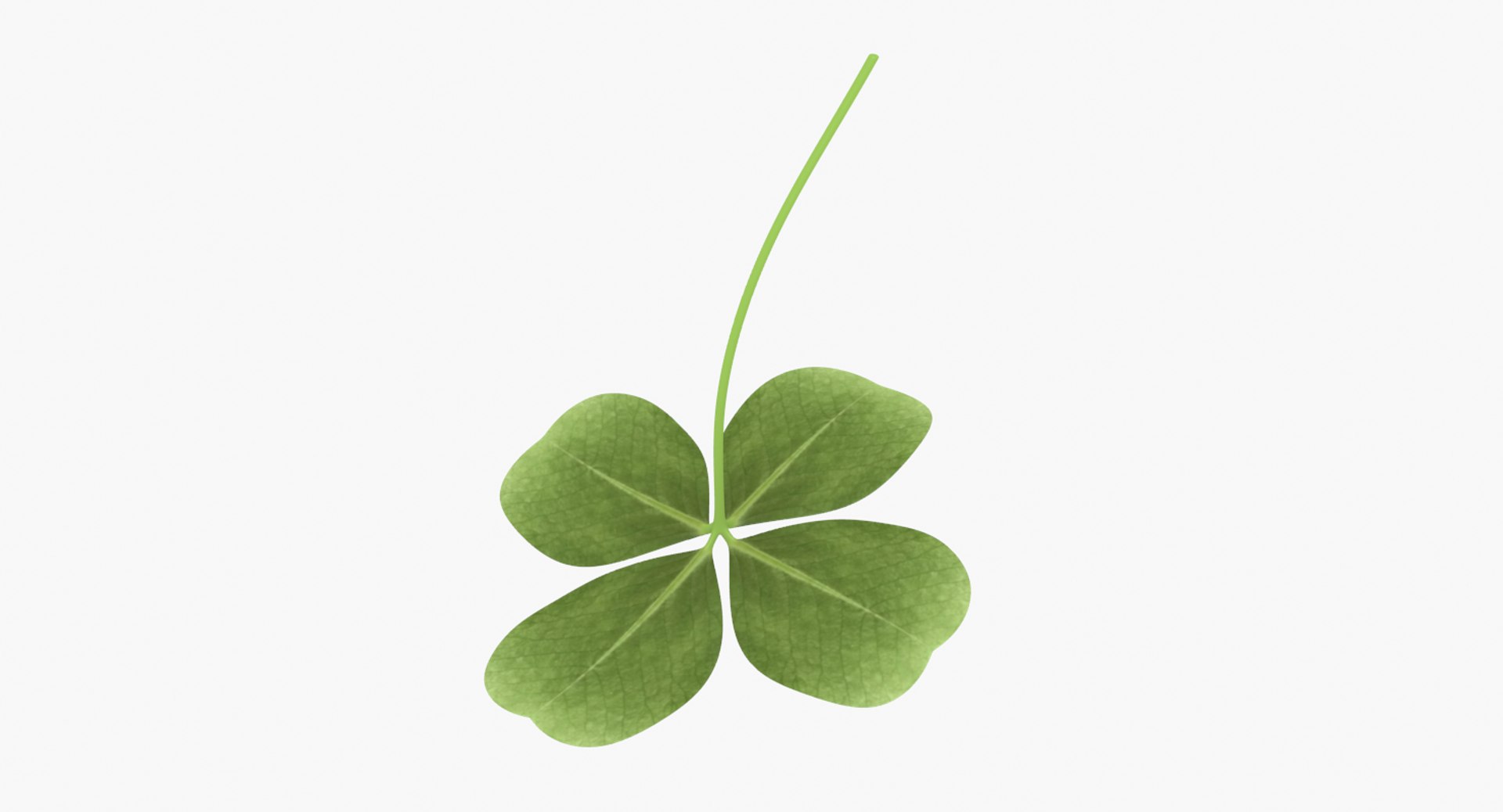 3D lucky clover shamrock https://p.turbosquid.com/ts-thumb/mA/fYPSLO/aTF2iDoN/untitled19/png/1500085649/1920x1080/fit_q87/c5308a9fa0781a697f75b2c2db94ce587ae10a80/untitled19.jpg