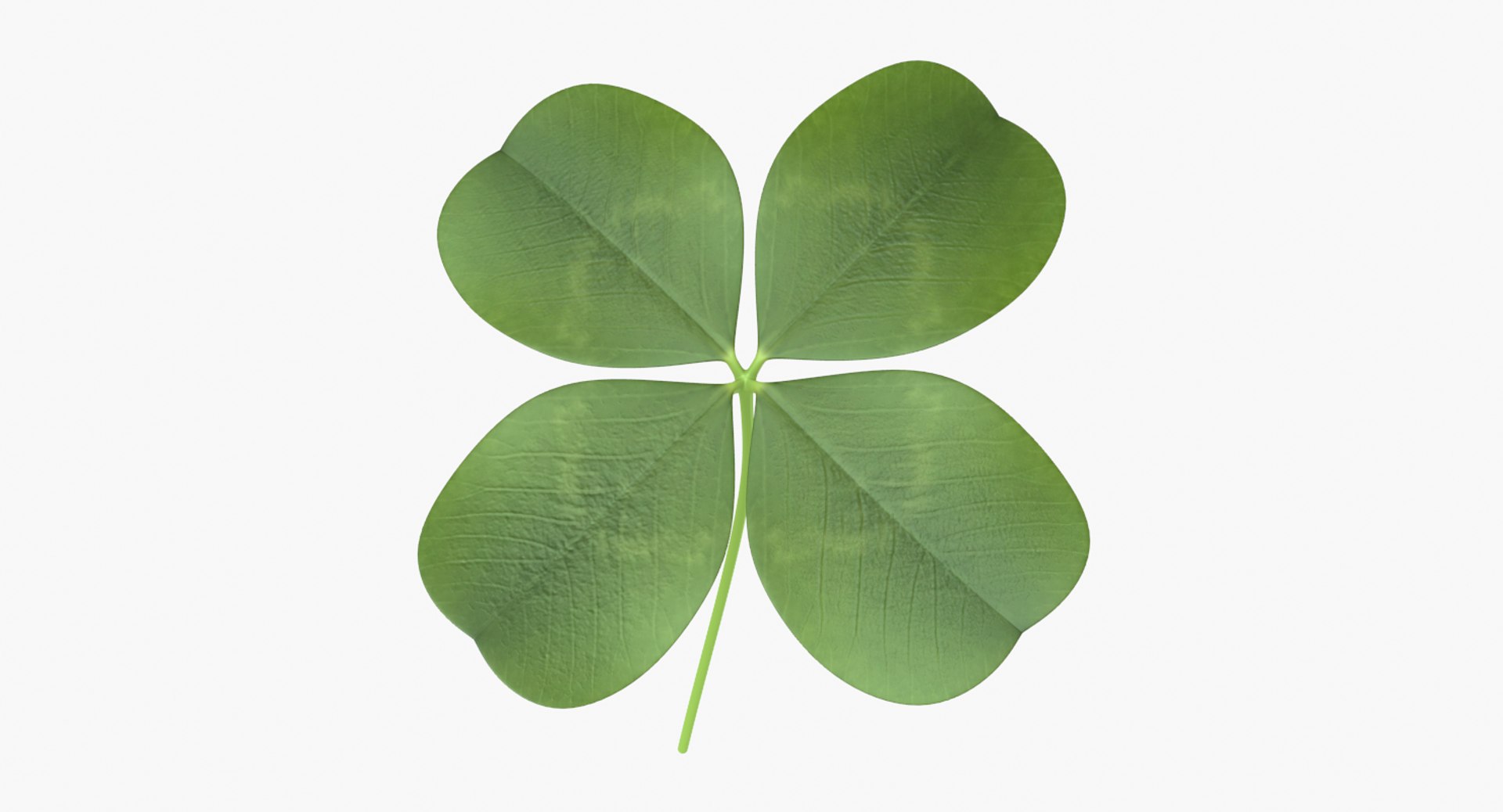 3D lucky clover shamrock https://p.turbosquid.com/ts-thumb/mA/fYPSLO/m51MzdXv/untitled5/png/1502420702/1920x1080/fit_q87/3608f1d637edf0f48c189f4cc5387eb4a78a9e30/untitled5.jpg