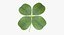 Lucky Clover / Shamrock