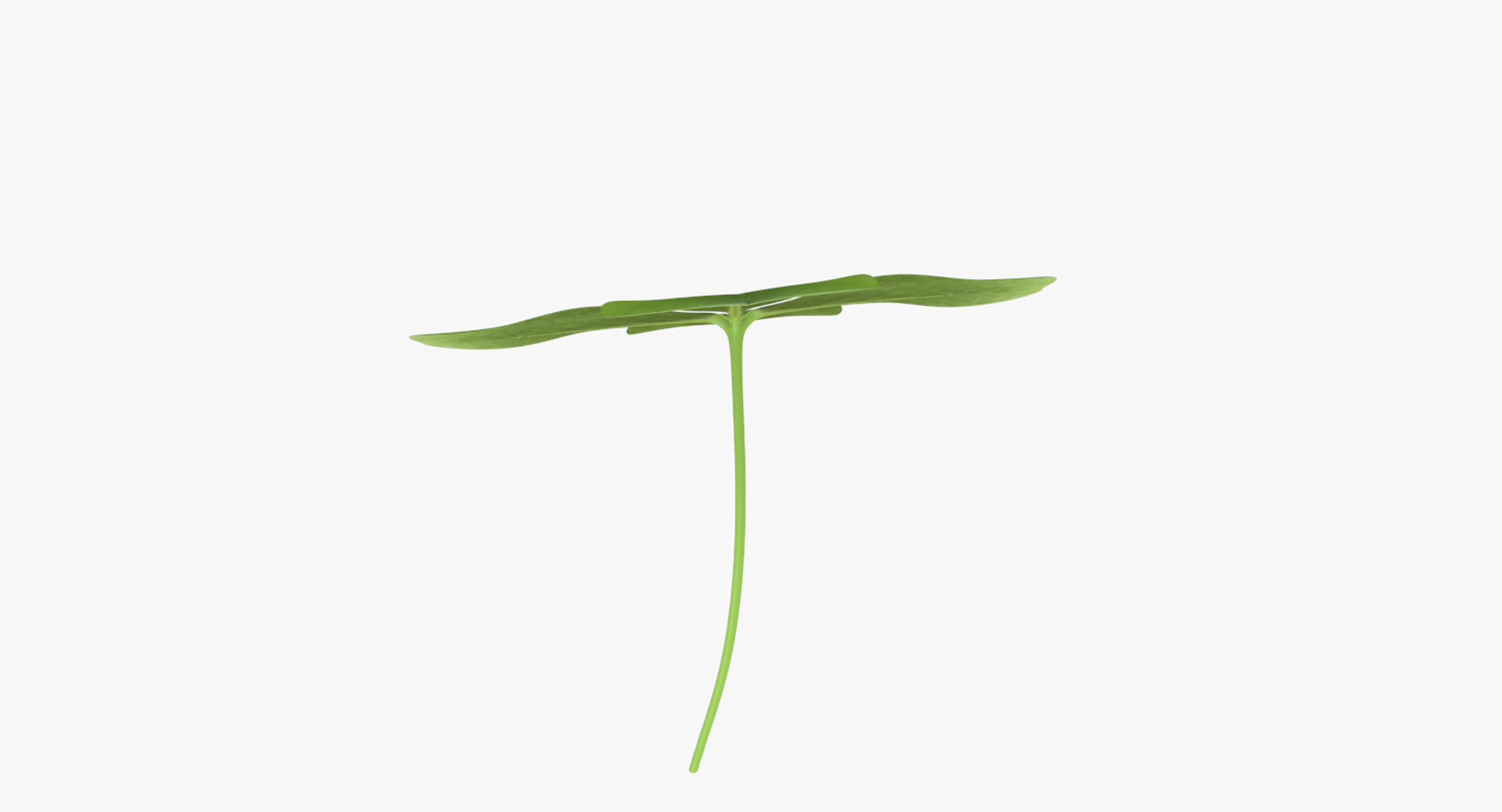 3D lucky clover shamrock https://p.turbosquid.com/ts-thumb/mA/fYPSLO/sL1weyJO/image/png/1500086172/1920x1080/turn_fit_q99/9a3975dc59180244def8393dea1fad3b08ca342c/image-1.jpg