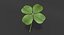 Lucky Clover / Shamrock