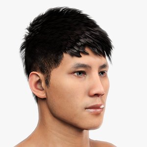 Male Hair - 011 3D