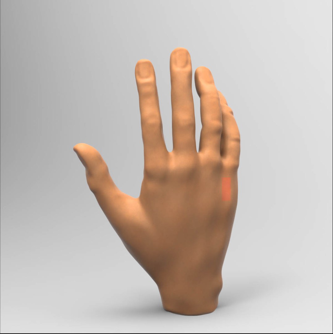 3D human hand model - TurboSquid 1378364