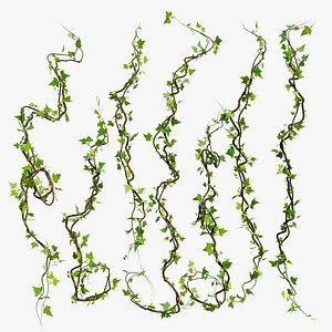 3D model Vines and Ivy - Geometry Nodes - Blender