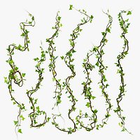 Vines and Ivy - Geometry Nodes - Blender