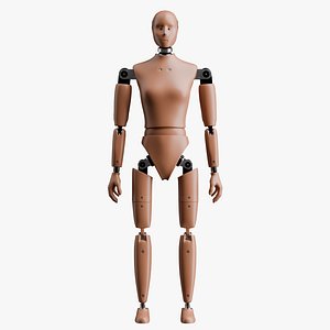 Crash Test Female Dummy 3D model