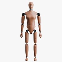 Crash Test Female Dummy