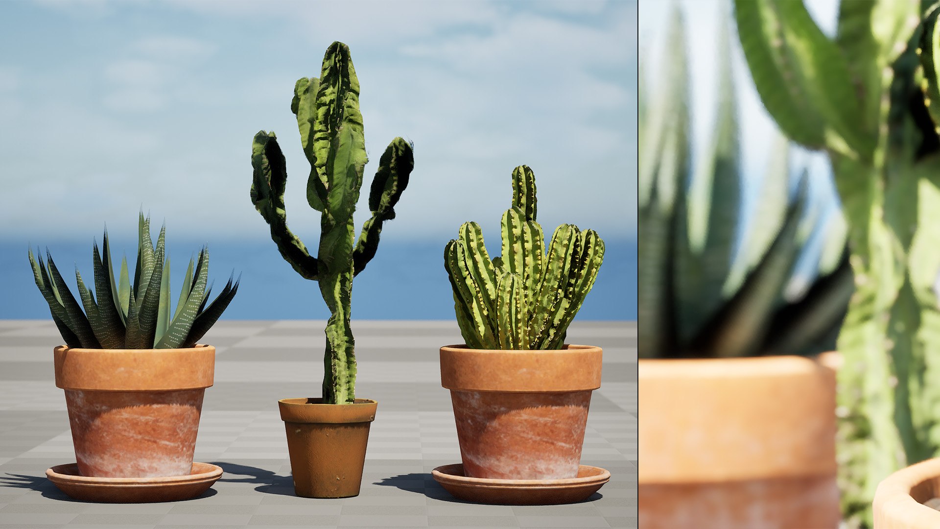 Cactus Trio 3d model 3D model https://p.turbosquid.com/ts-thumb/mB/Whd4XY/Jk/01highresscreenshot00003/jpg/1724943329/1920x1080/fit_q87/f065f8bc592b58e63876d7f88fcdeabc17609c5e/01highresscreenshot00003.jpg