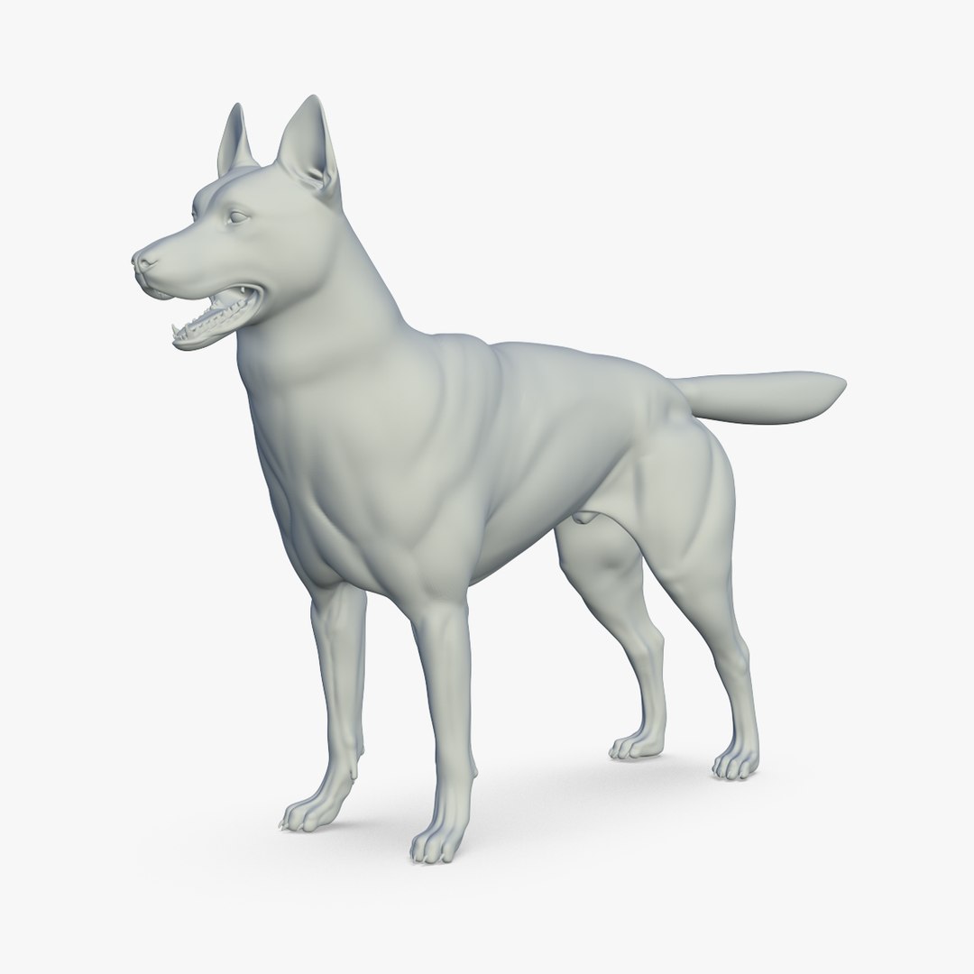 Siberean Husky 3D Model - TurboSquid 2217297