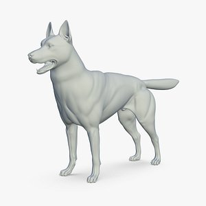 Siberean Husky 3D model