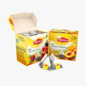 tea lipton pyramid 3d model
