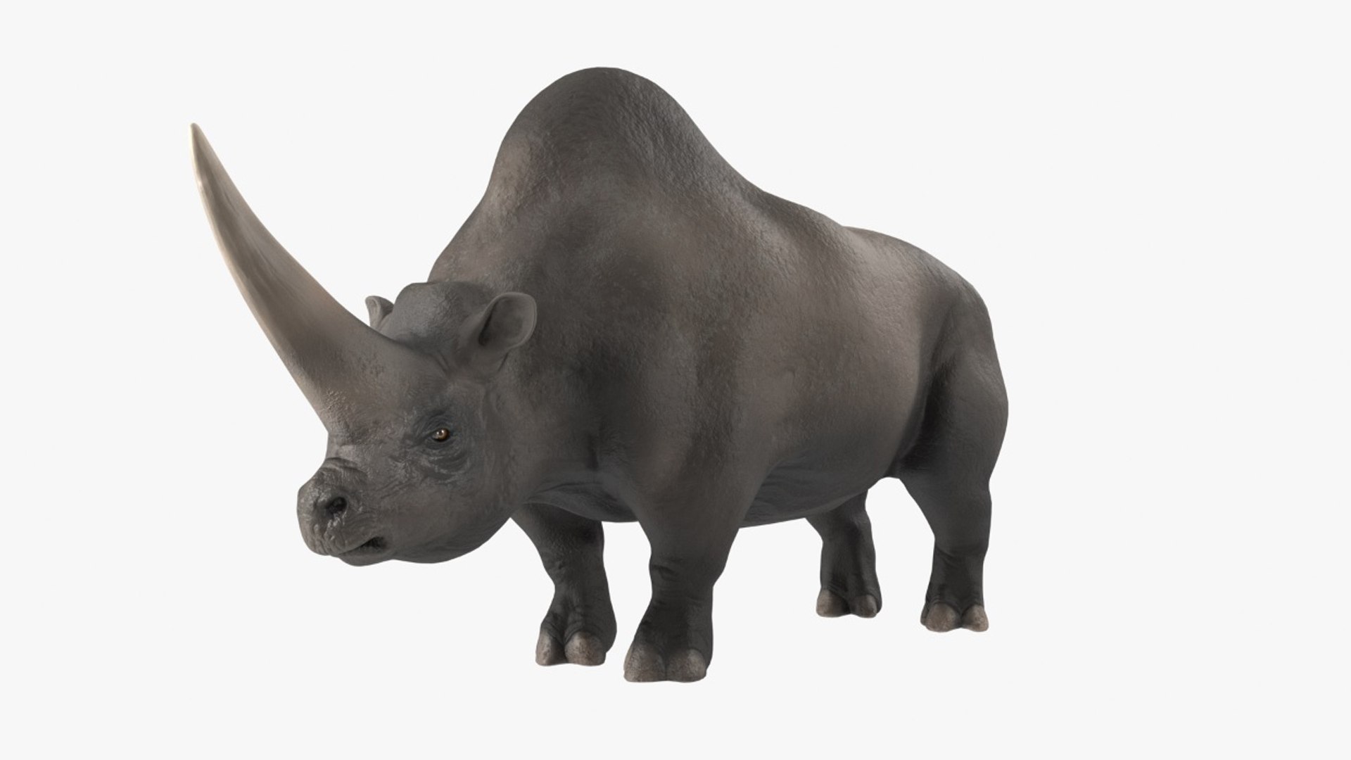 Elasmotherium Rigged for Modo 3D model preview