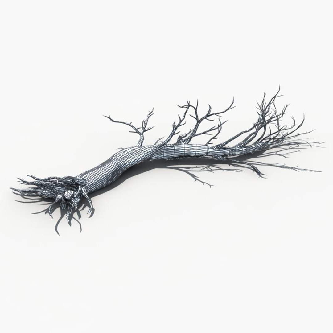 Scary Tree Dry 3d Model
