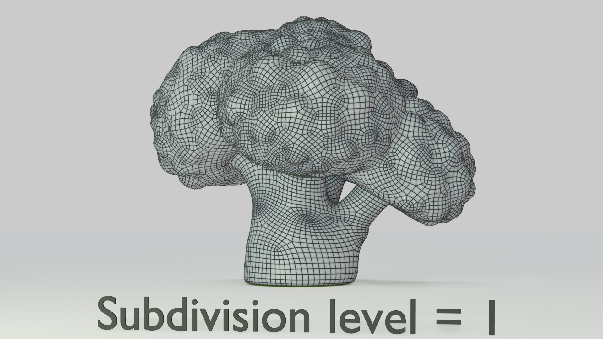 cartoon broccoli 3D model https://p.turbosquid.com/ts-thumb/mB/dEcShT/3B9KNsfa/wireframe_image2/png/1602496739/1920x1080/fit_q87/dfb2b607184aacd7421398a215df2147fda95d25/wireframe_image2.jpg