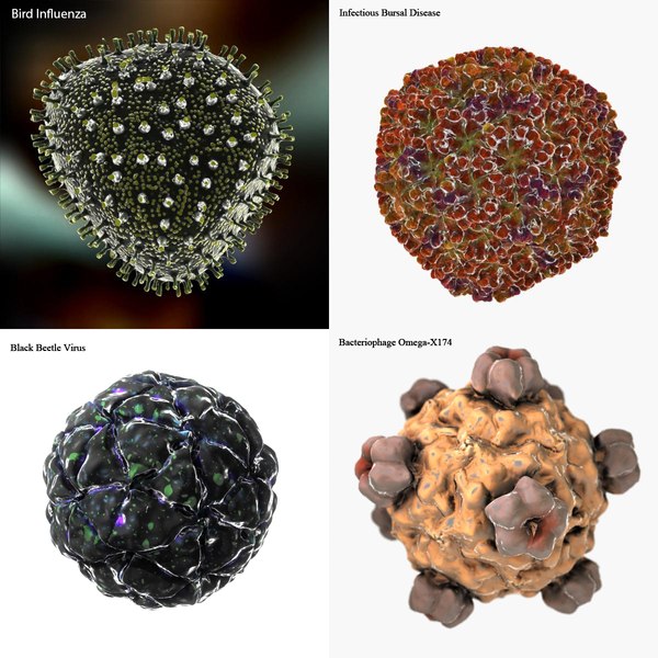 3d virus hiv human model