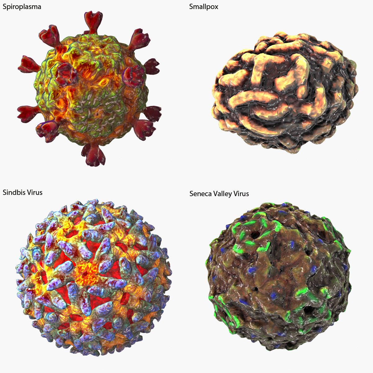 3d virus hiv human model