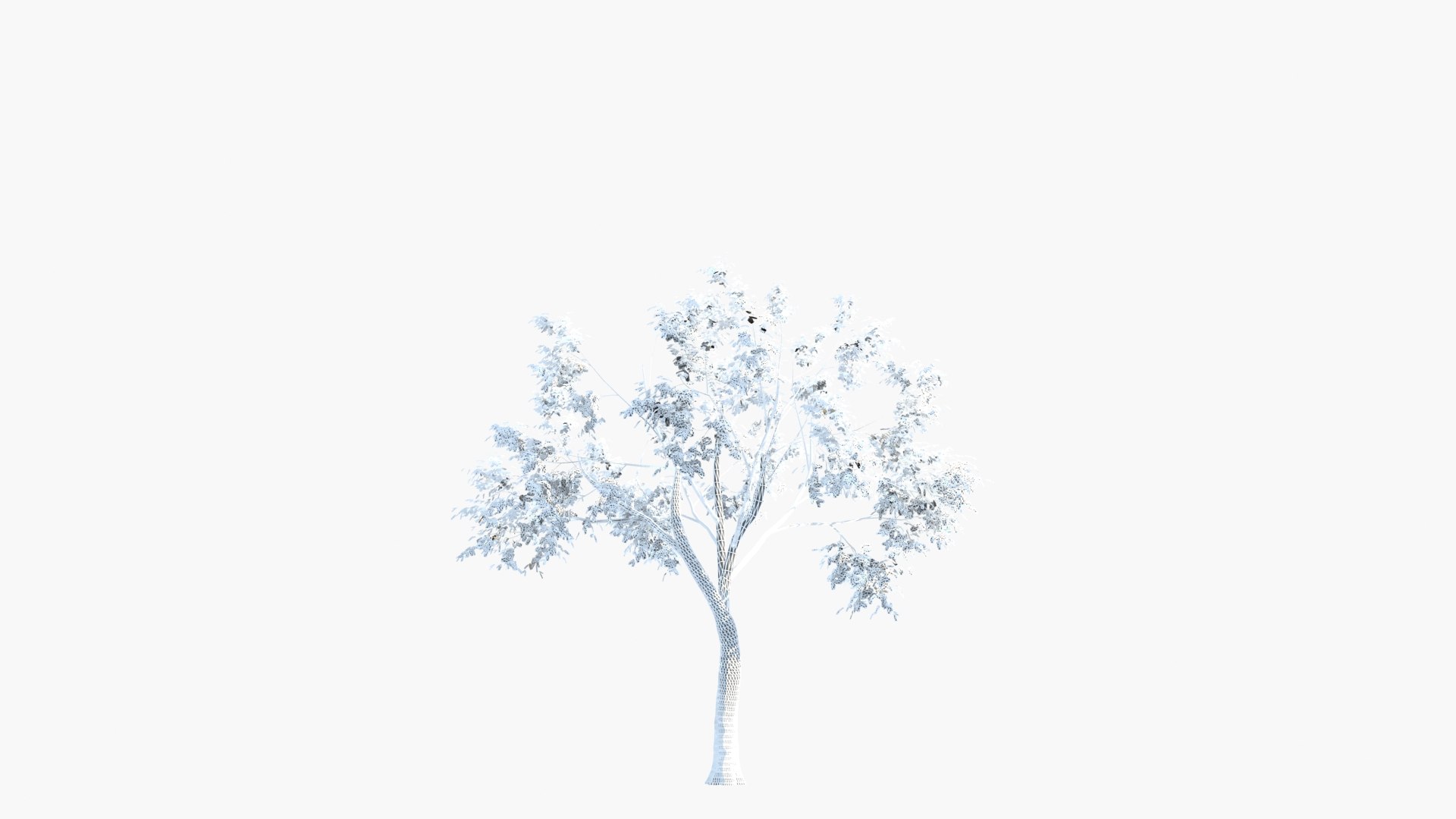 3D model big tree grow https://p.turbosquid.com/ts-thumb/mB/yYYGci/mSYaEDK0/xk_0060/jpg/1603076124/1920x1080/fit_q87/56586d1b2ee9e3f3709063e5ac428470f7f21706/xk_0060.jpg