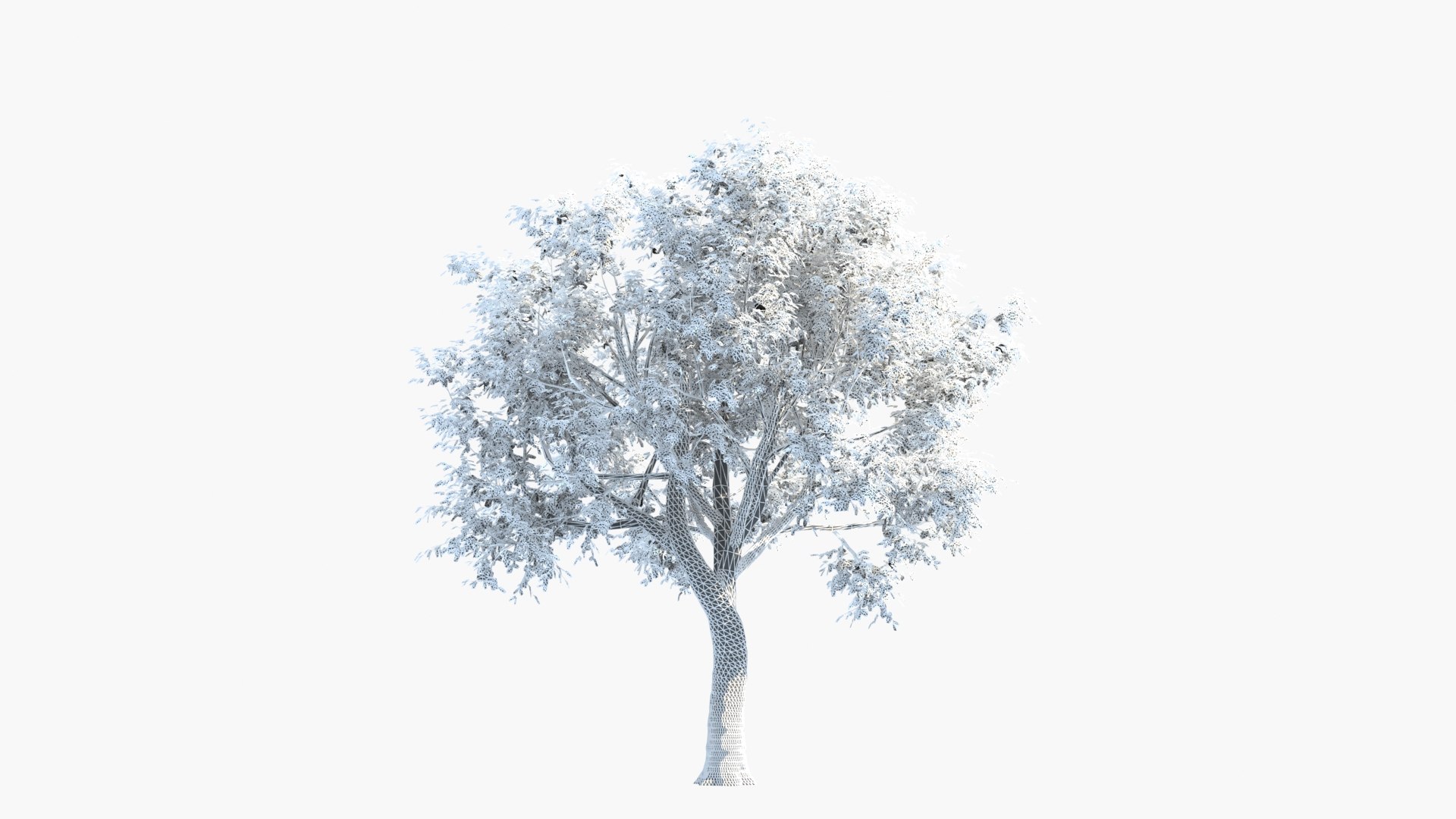 3D model big tree grow https://p.turbosquid.com/ts-thumb/mB/yYYGci/vdsJd0Qj/xk_0090/jpg/1603076125/1920x1080/fit_q87/daf1a5429dac5918908d1a8054c8914d1a42b733/xk_0090.jpg