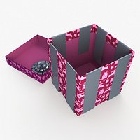Christmas BOX Open3 Tapes deer