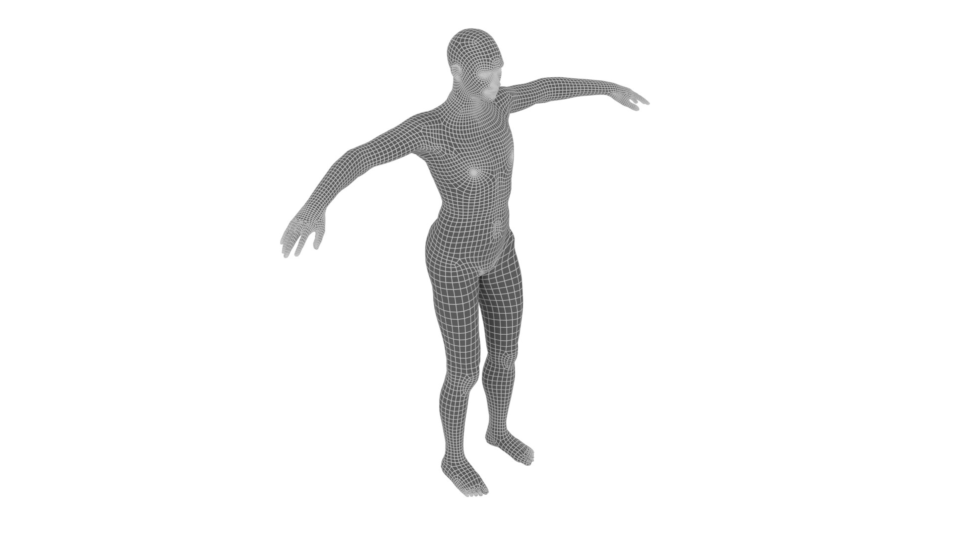 Holographic Human Muscular System - Rigged Anatomy with Animations 3D https://p.turbosquid.com/ts-thumb/mC/BA8q9b/AP/warframeskin/png/1722697342/1920x1080/fit_q87/4177966dc3e6a7a61e097b5414af5c99f1f93a1a/warframeskin.jpg