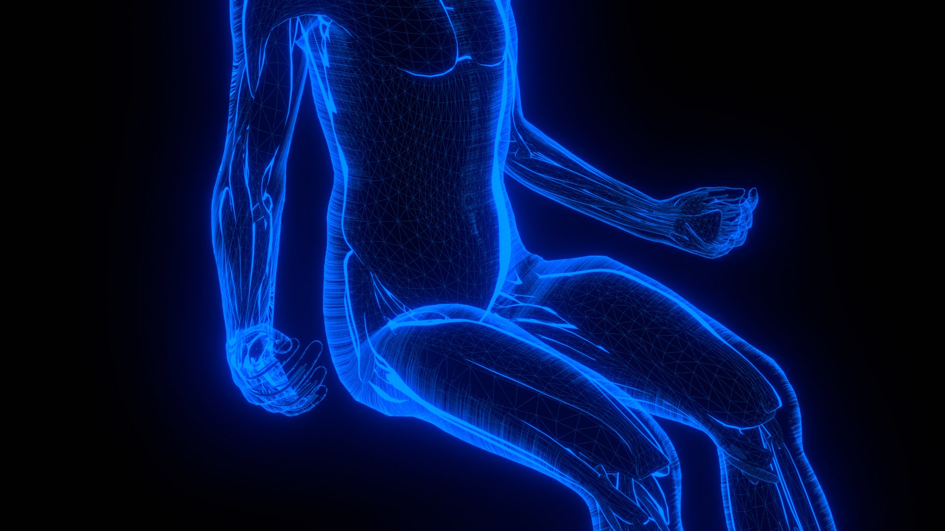 Holographic Human Muscular System - Rigged Anatomy with Animations 3D https://p.turbosquid.com/ts-thumb/mC/BA8q9b/Bv/untitled_2/png/1722706439/1920x1080/fit_q87/6c1e044d5368afd71815a0578e60a24d5f1b3853/untitled_2.jpg