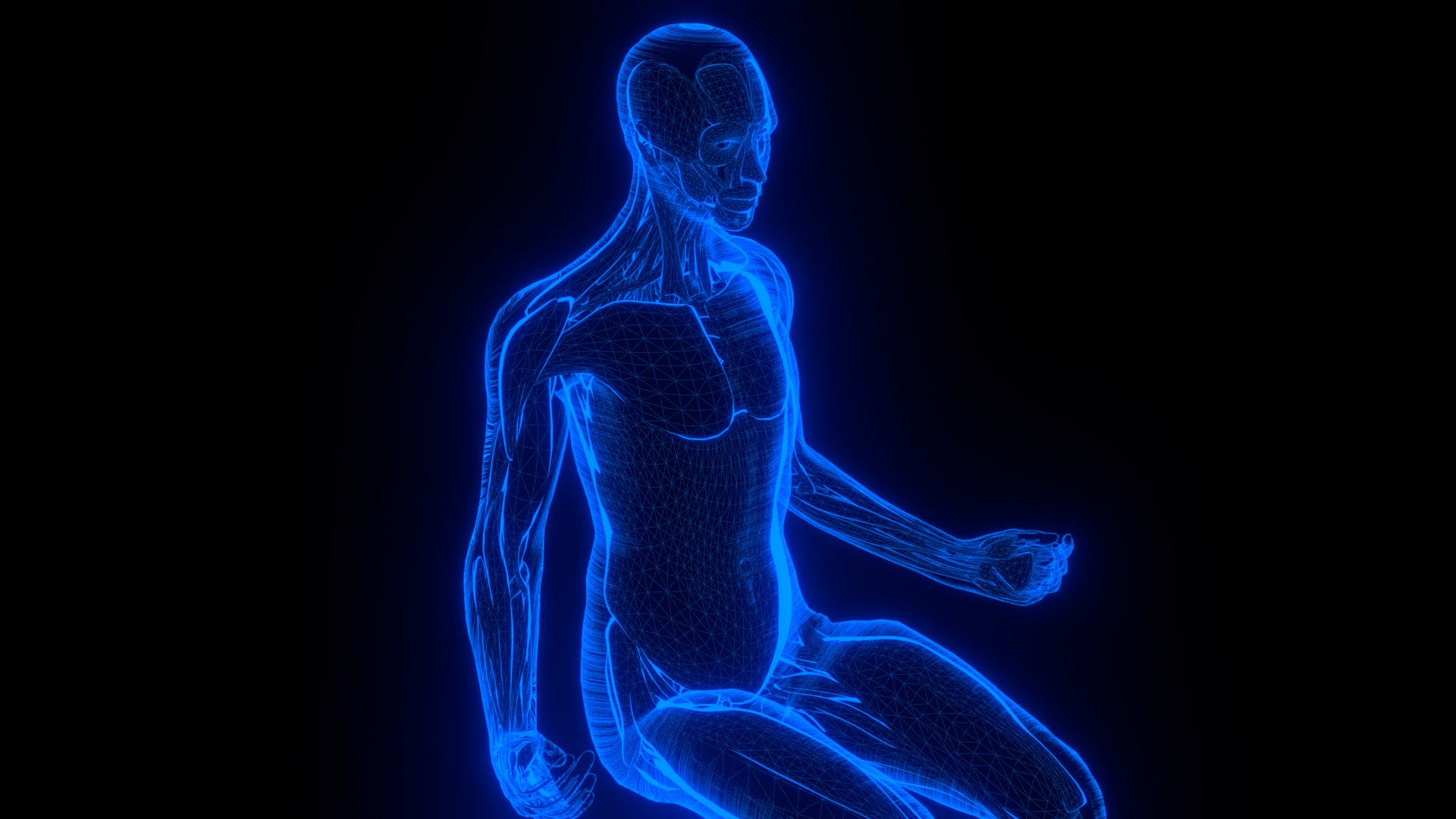 Holographic Human Muscular System - Rigged Anatomy with Animations 3D https://p.turbosquid.com/ts-thumb/mC/BA8q9b/FH/untitled_7/png/1722706463/1920x1080/fit_q87/eaf8f30fb84bbaa2ac1c02f4438dfbb47c8b0d08/untitled_7.jpg