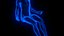 Holographic Human Muscular System - Rigged Anatomy with Animations