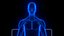 Holographic Human Muscular System - Rigged Anatomy with Animations