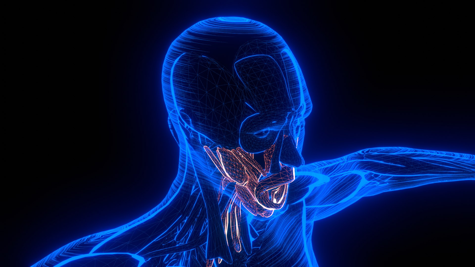 Holographic Human Muscular System - Rigged Anatomy with Animations 3D https://p.turbosquid.com/ts-thumb/mC/BA8q9b/M0/untitled_0_2/png/1722706432/1920x1080/fit_q87/32bc0334dcb003b6b2a8c32e35f425c471551626/untitled_0_2.jpg