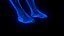 Holographic Human Muscular System - Rigged Anatomy with Animations