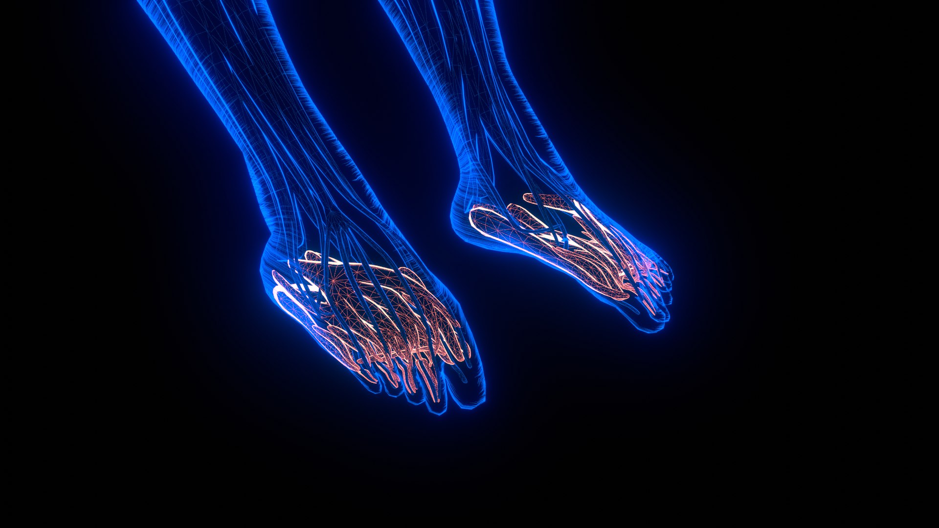 Holographic Human Muscular System - Rigged Anatomy with Animations 3D https://p.turbosquid.com/ts-thumb/mC/BA8q9b/RG/untitled_5_2/png/1722706456/1920x1080/fit_q87/411e2a8d45d5b29a6b21d8013b6c15a150cb5d9b/untitled_5_2.jpg
