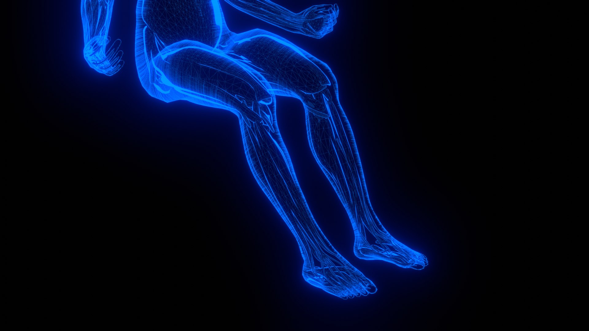 Holographic Human Muscular System - Rigged Anatomy with Animations 3D https://p.turbosquid.com/ts-thumb/mC/BA8q9b/X8/untitled_6/png/1722706458/1920x1080/fit_q87/8ddf2cf79db082f3934051f2ac4f9294f865de0a/untitled_6.jpg