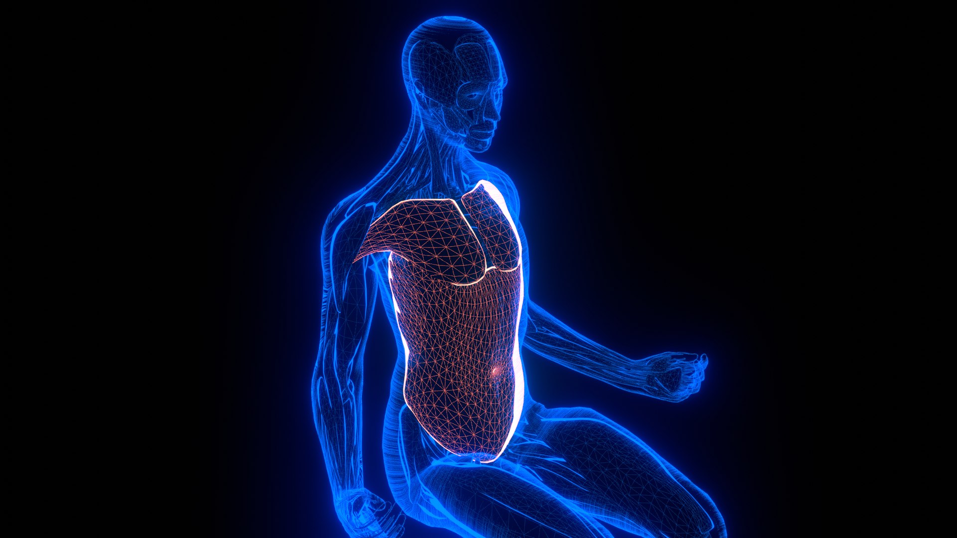 Holographic Human Muscular System - Rigged Anatomy with Animations 3D https://p.turbosquid.com/ts-thumb/mC/BA8q9b/Yk/untitled_7_2/png/1722706465/1920x1080/fit_q87/9619aafcc7faf9056cf31d798cc3ea5f60383eff/untitled_7_2.jpg