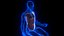 Holographic Human Muscular System - Rigged Anatomy with Animations