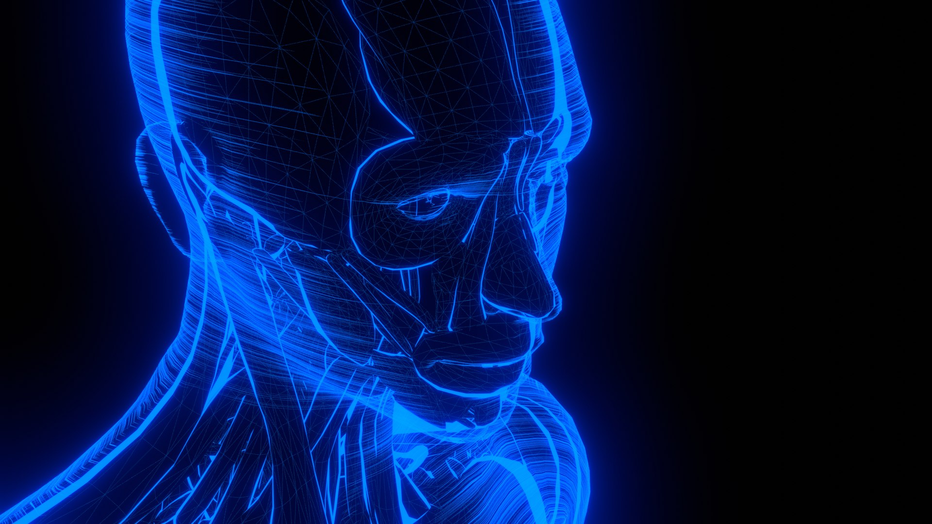 Holographic Human Muscular System - Rigged Anatomy with Animations 3D https://p.turbosquid.com/ts-thumb/mC/BA8q9b/f4/untitled_9/png/1722706473/1920x1080/fit_q87/4aa8d4c206af90335c90690bd3882d19dc06a4be/untitled_9.jpg