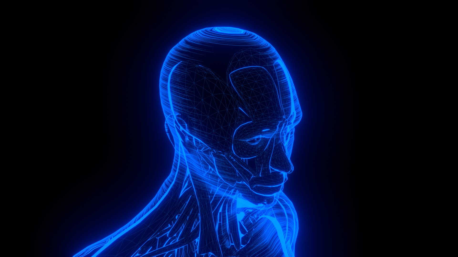 Holographic Human Muscular System - Rigged Anatomy with Animations 3D https://p.turbosquid.com/ts-thumb/mC/BA8q9b/gK/untitled_10/png/1722706476/1920x1080/fit_q87/b42c7a1e11978f4db883fd74744a6d60e6914c9d/untitled_10.jpg