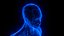 Holographic Human Muscular System - Rigged Anatomy with Animations