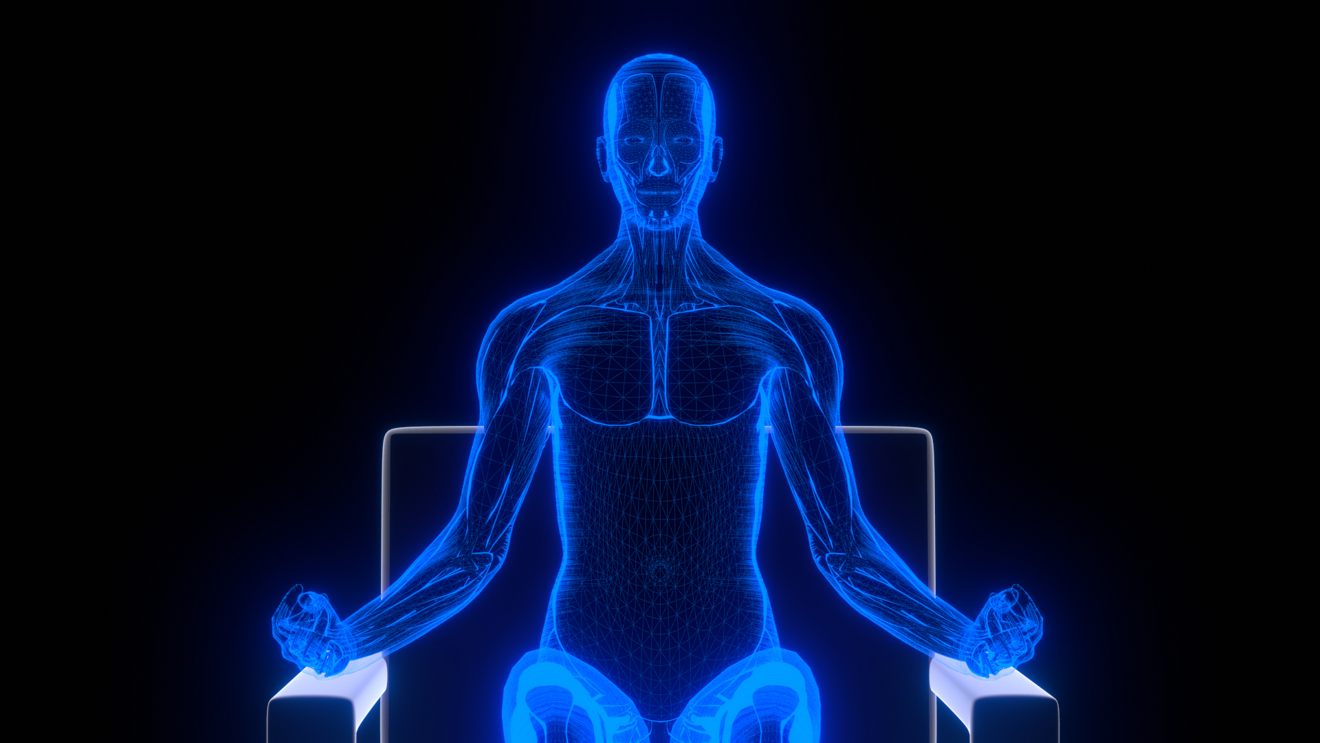 Holographic Human Muscular System - Rigged Anatomy with Animations 3D https://p.turbosquid.com/ts-thumb/mC/BA8q9b/nY/image5/png/1722706770/1920x1080/turn_fit_q99/f23e7ed7ebfcf106acb0475dd9f5071177a465d3/image5-1.jpg