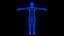Holographic Human Muscular System - Rigged Anatomy with Animations