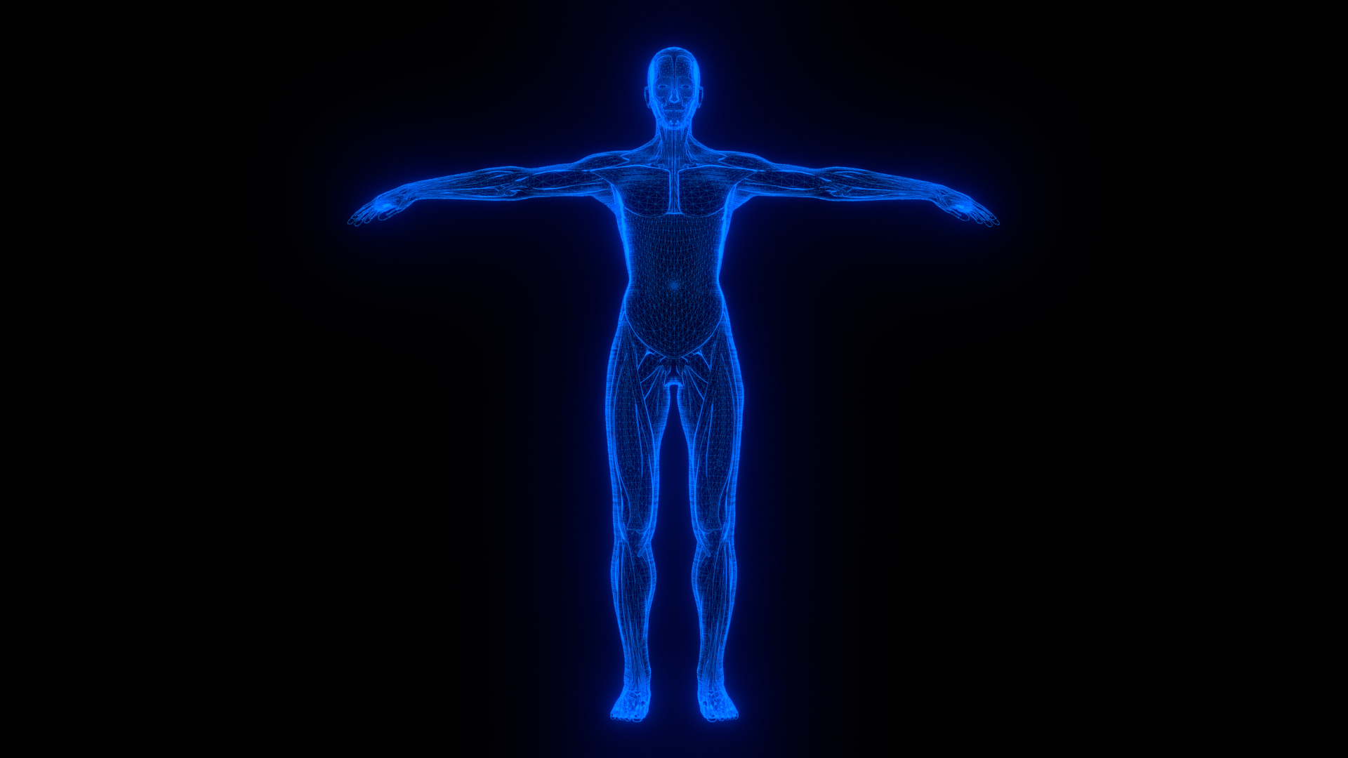 Holographic Human Muscular System - Rigged Anatomy with Animations 3D https://p.turbosquid.com/ts-thumb/mC/BA8q9b/oM/image0/png/1722703667/1920x1080/turn_fit_q99/61a3e1b02ef43d5f5c03dee5d97de37515988c50/image0-1.jpg